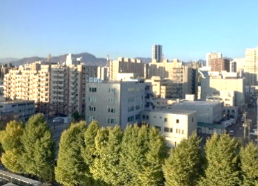 7A病棟デイルームから見える景色。横一列に気が並び、その奥にビルやマンションが見える。