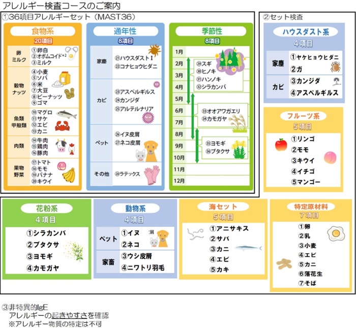 アレルギー検査コースのご案内