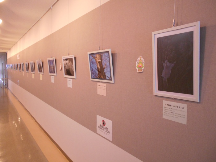 ギャラリー全景2