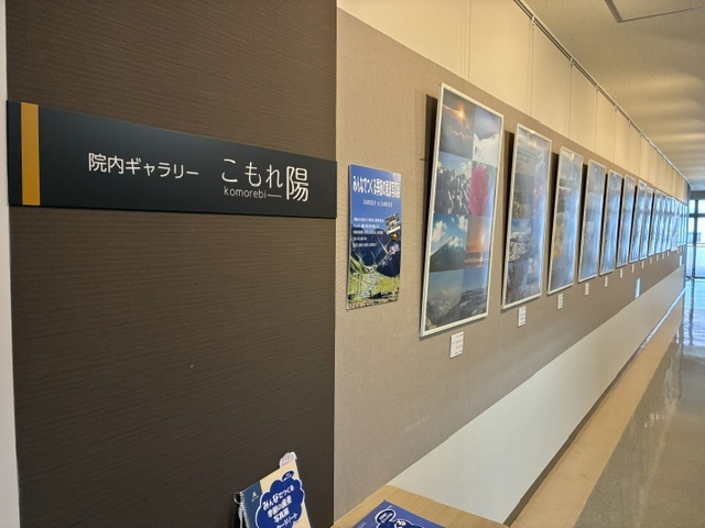 ギャラリー全景1