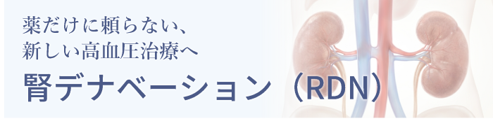 薬だけに頼らない、新しい高血圧治療へ：腎デナベーション