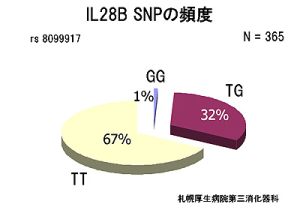 IL28B SNPの頻度
