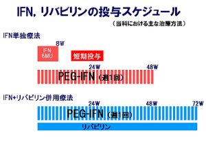 IFN,リバビリンの投与スケジュール