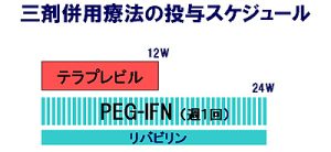 三剤併用療法の投与スケジュール