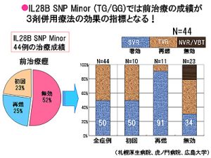 IL28B SNP Minor(TG/GG)では前治療の成績が3剤併用療法の効果の指標となる