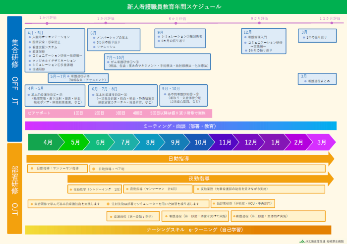 看護職員年間スケジュール