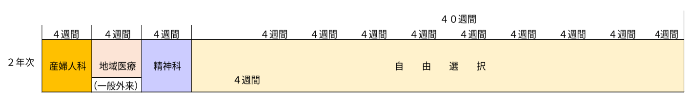 初期臨床研修プログラム図 2年目