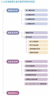 教育研修体系